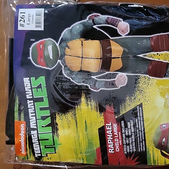 Boys "Teenage Mutant Ninja Turtles (Raphael)" Costume - Picture 2 of 4